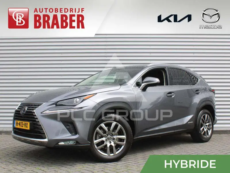 2020 Lexus NX300