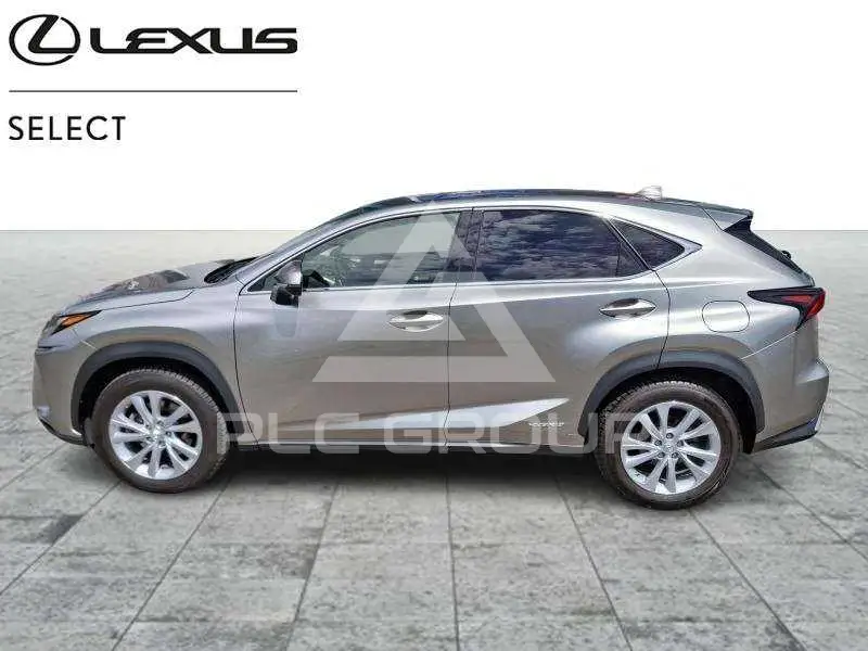 2020 Lexus NX300