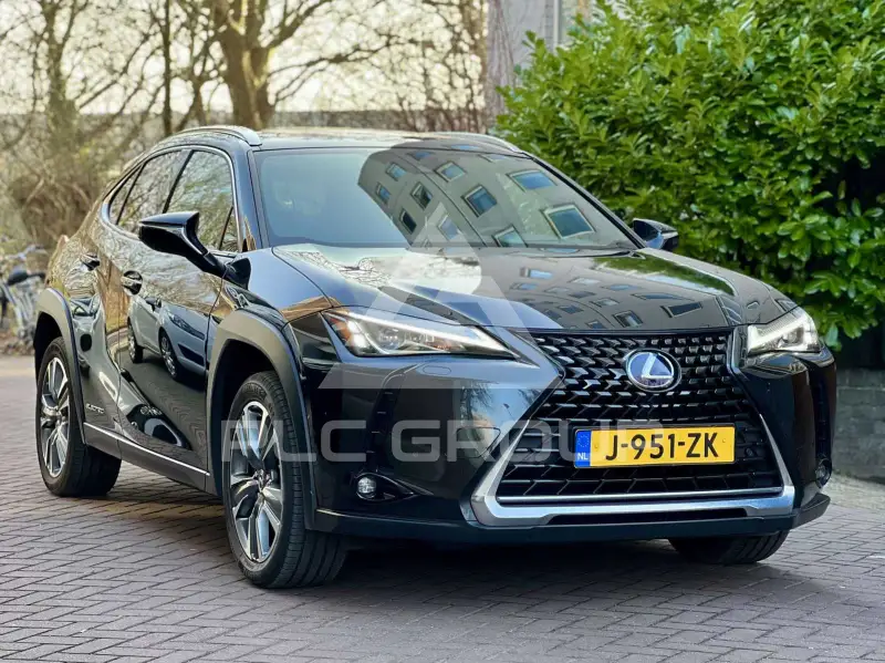 2020 Lexus UX