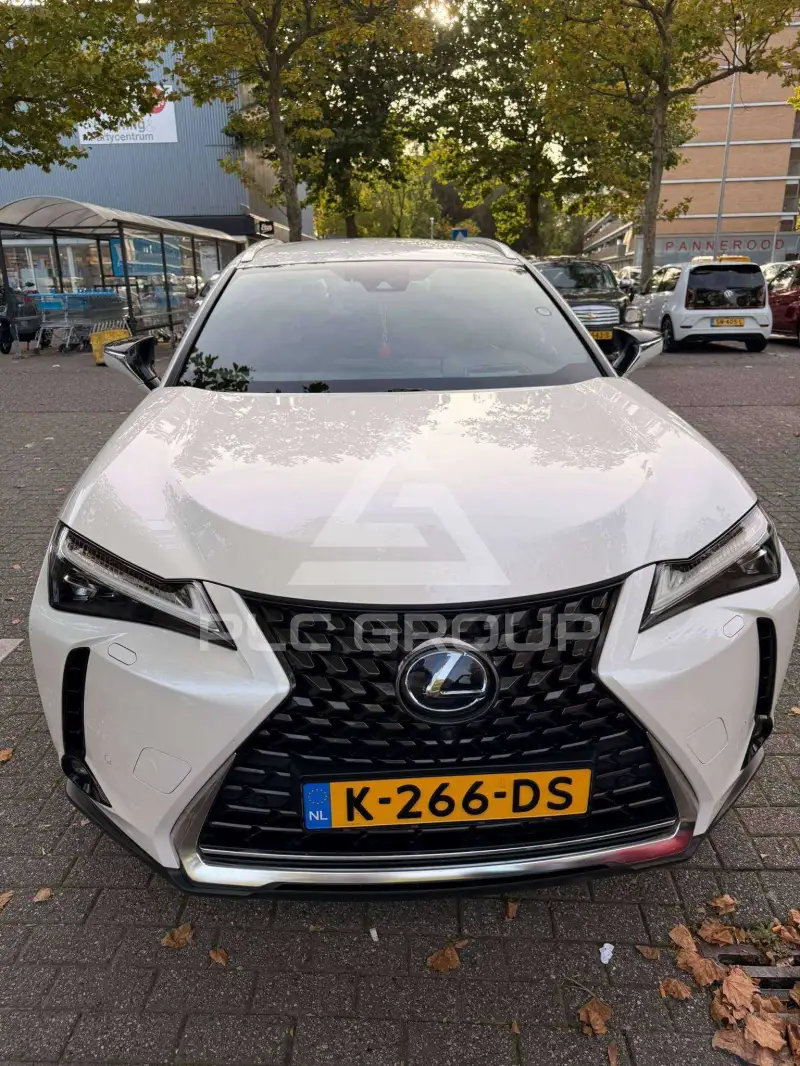 2020 Lexus UX