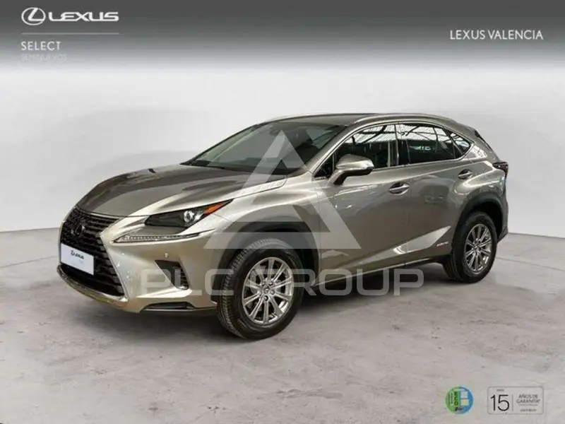 2020 Lexus NX200T