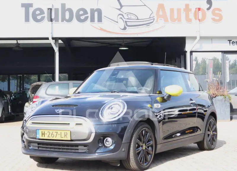 2020 Mini Unknown