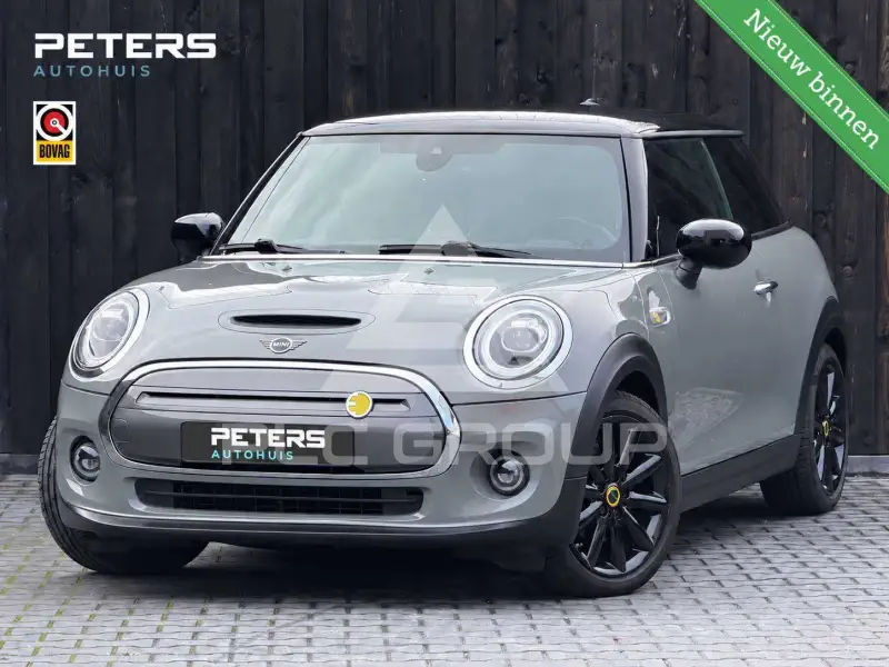 2020 Mini Unknown