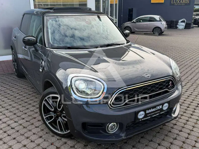 2020 Mini Unknown