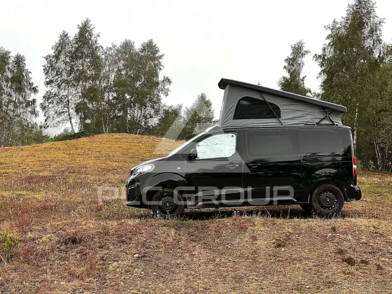 2020 Peugeot Traveller
