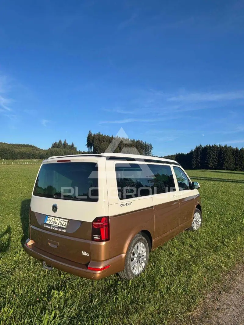 2020 Volkswagen T6