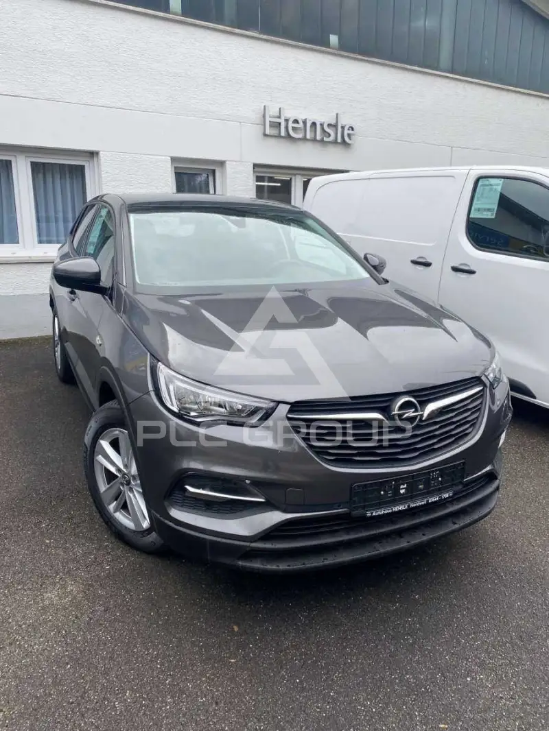 2020 Opel GrandlandX