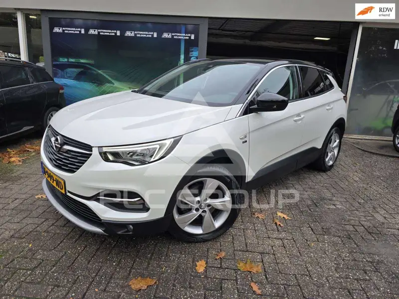 2020 Opel GrandlandX