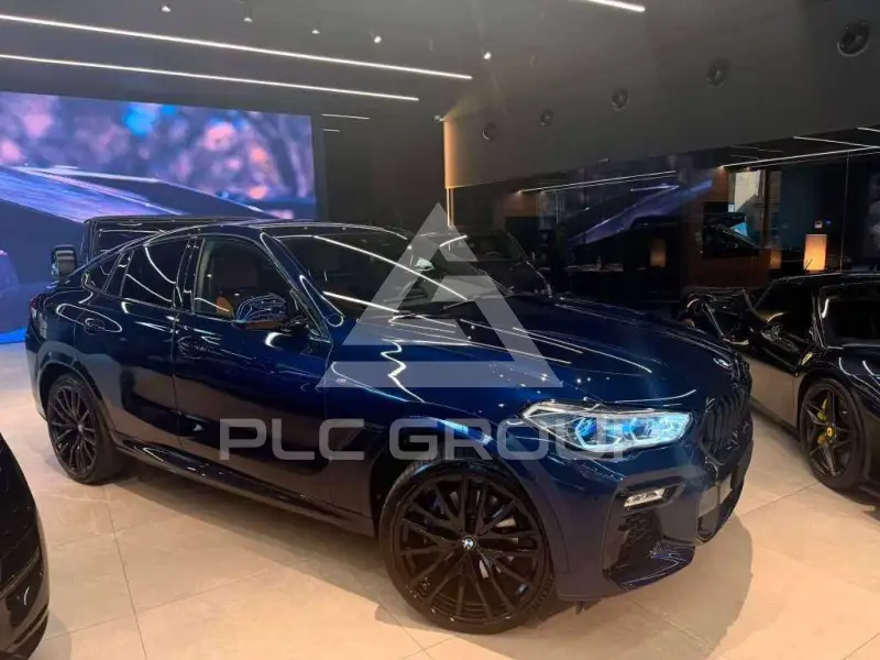 2021 BMW X6