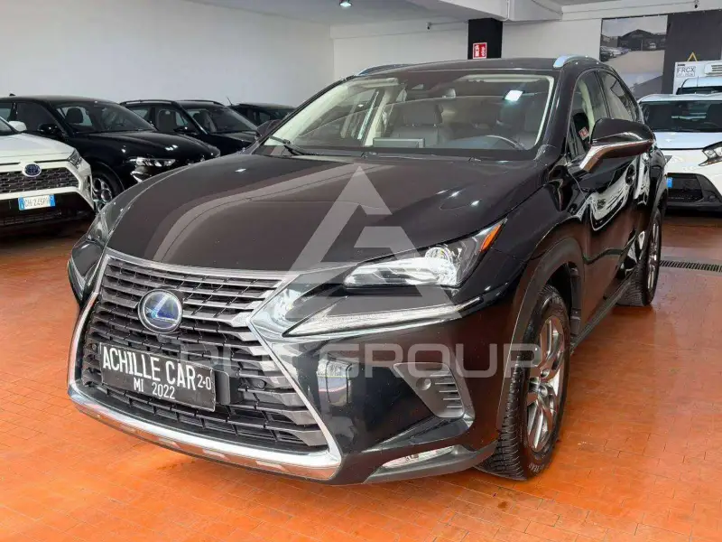 2021 Lexus NX300