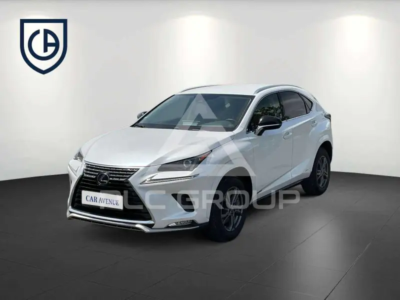 2021 Lexus NX300