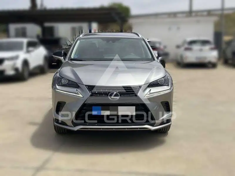 2021 Lexus NX300
