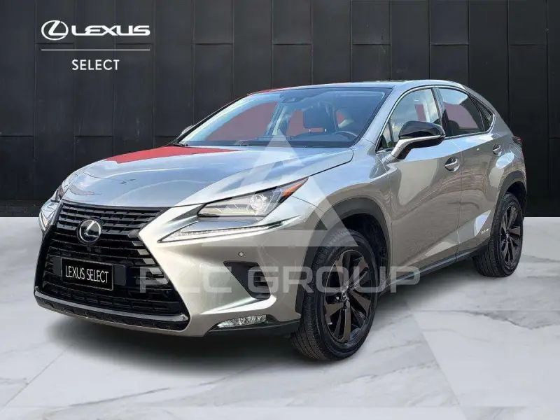 2021 Lexus NX300