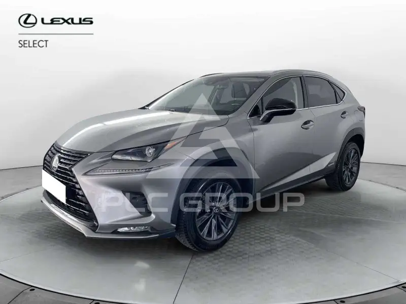 2021 Lexus NX300