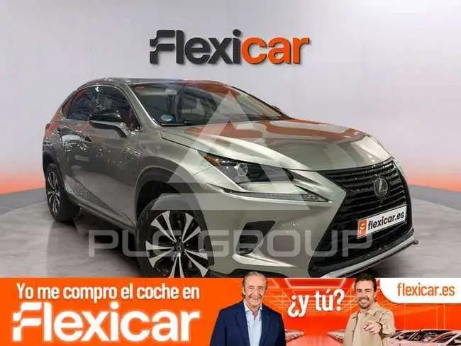 2021 Lexus NX300