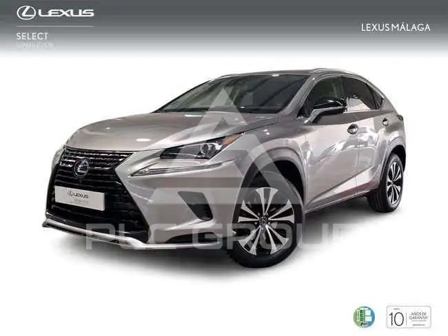 2021 Lexus NX300