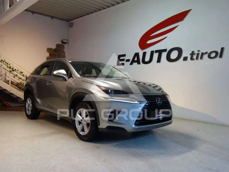 2021 Lexus NX300