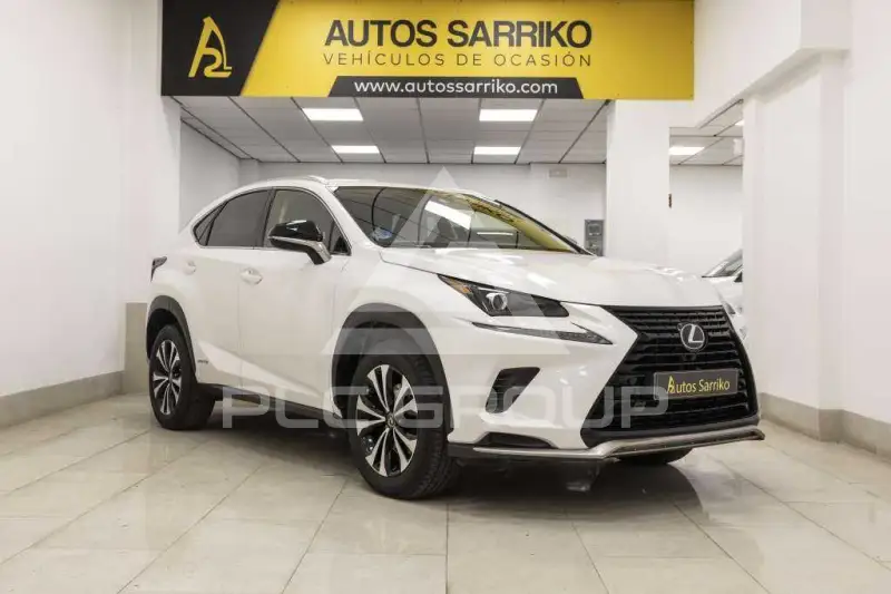 2021 Lexus NX300