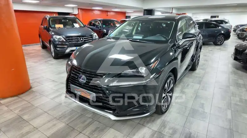 2021 Lexus NX300