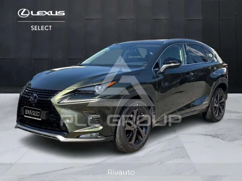 2021 Lexus NX300