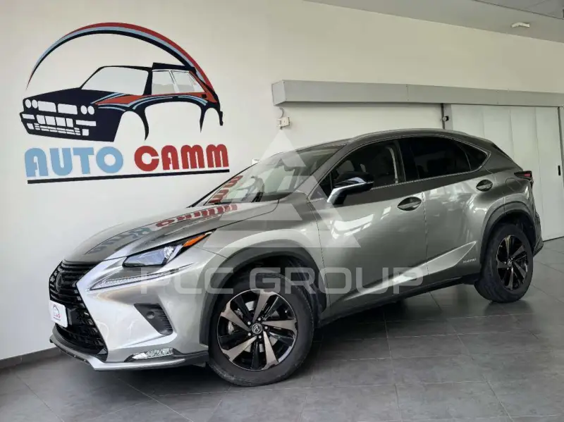 2021 Lexus NX300