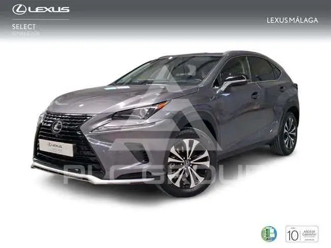 2021 Lexus NX300
