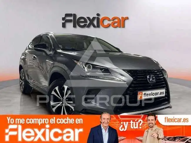 2021 Lexus NX300