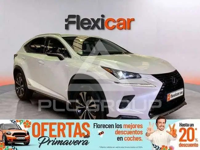 2021 Lexus NX300
