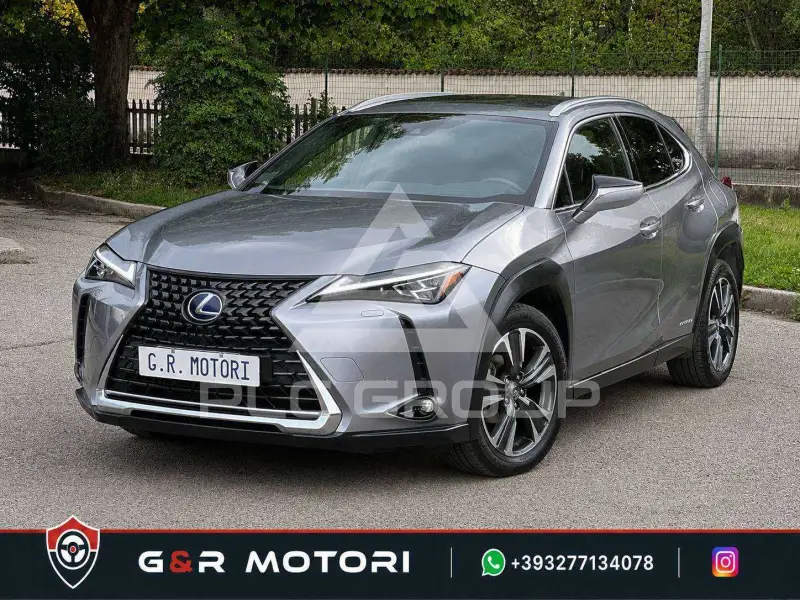 2021 Lexus UX250
