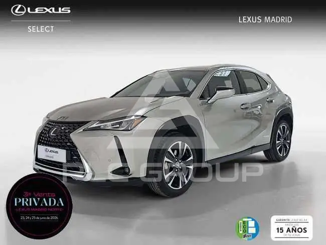 2021 Lexus UX250