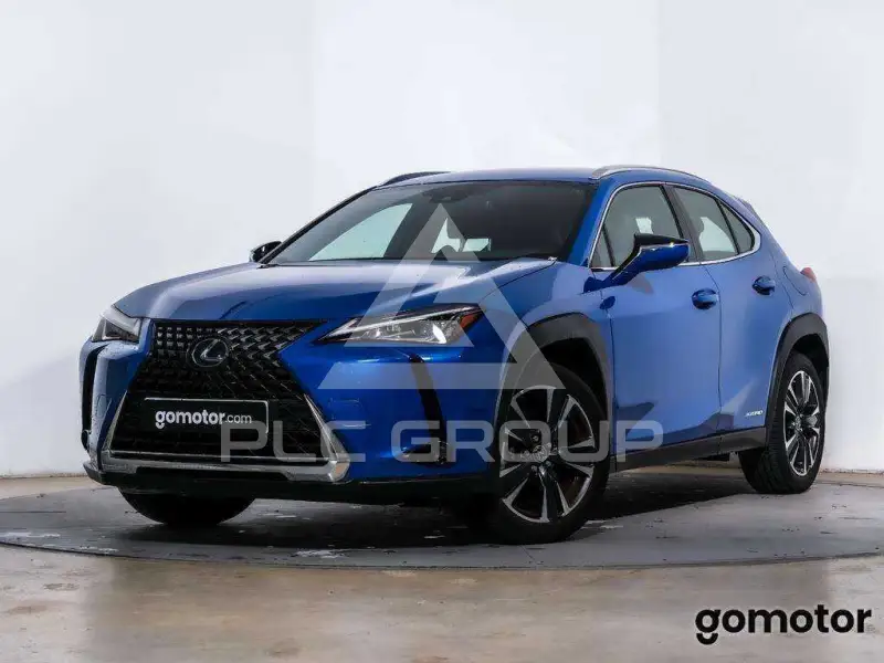 2021 Lexus UX250