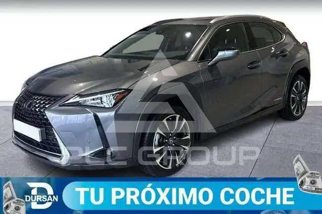 2021 Lexus UX250