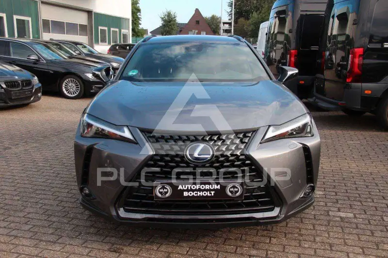 2021 Lexus UX250
