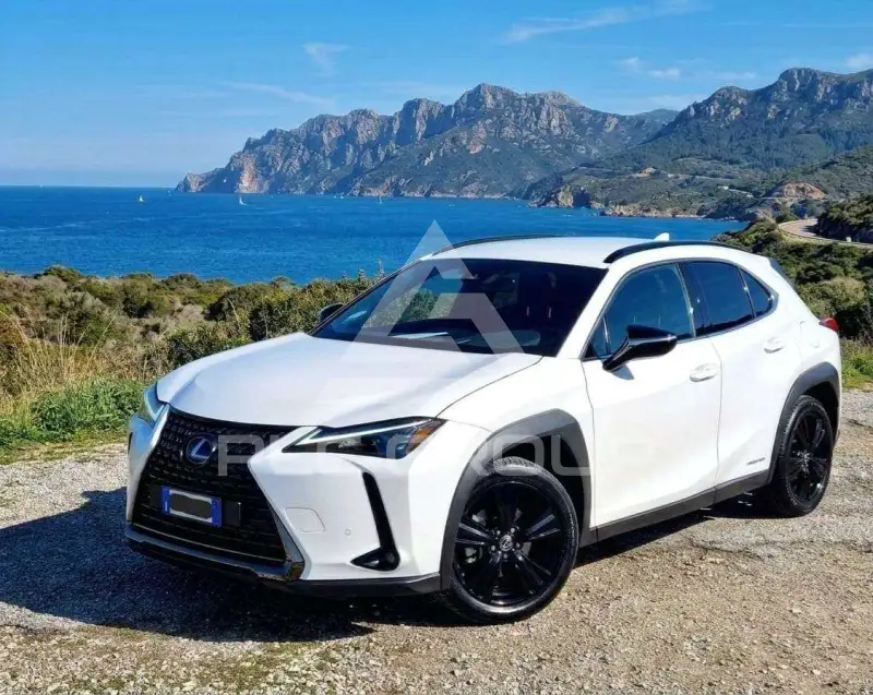2021 Lexus UX250