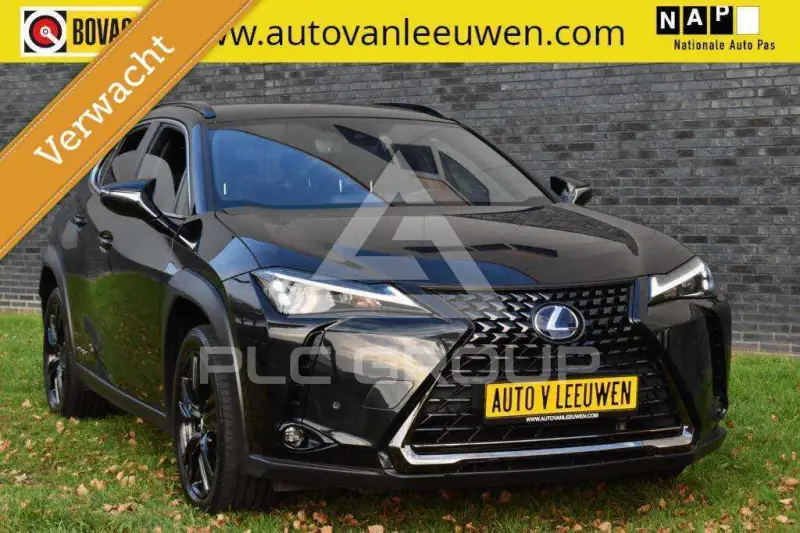 2021 Lexus UX250