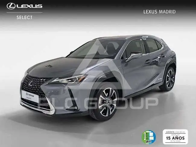 2021 Lexus UX250