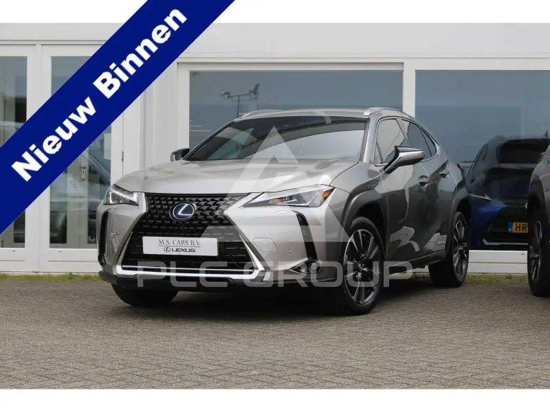 2021 Lexus UX250