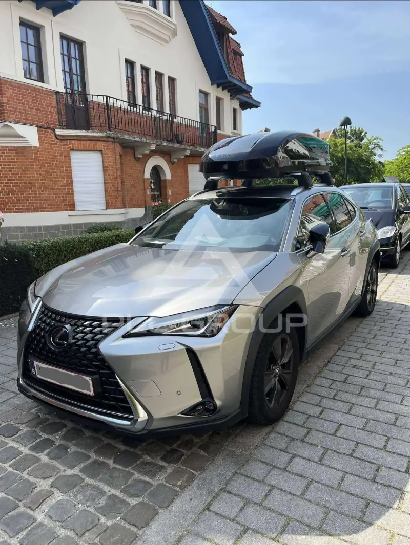2021 Lexus UX250