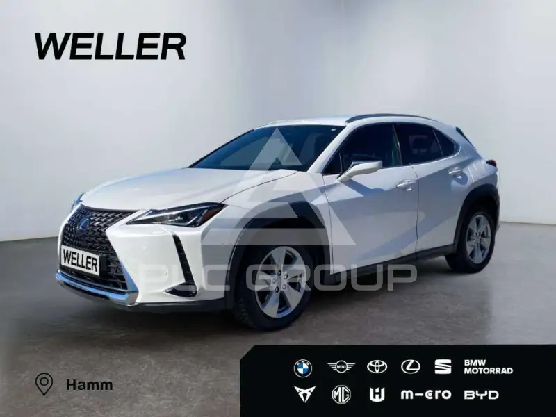 2021 Lexus UX250