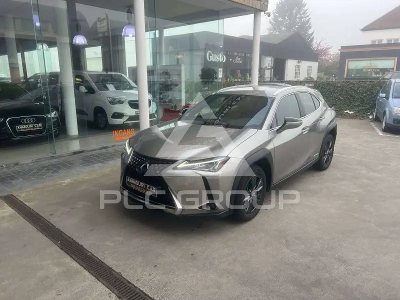 2021 Lexus UX250