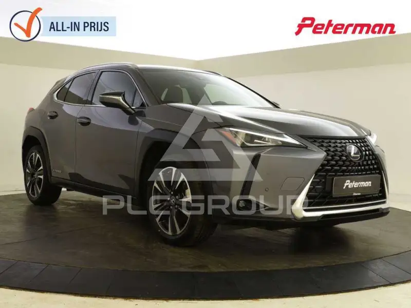 2021 Lexus UX250