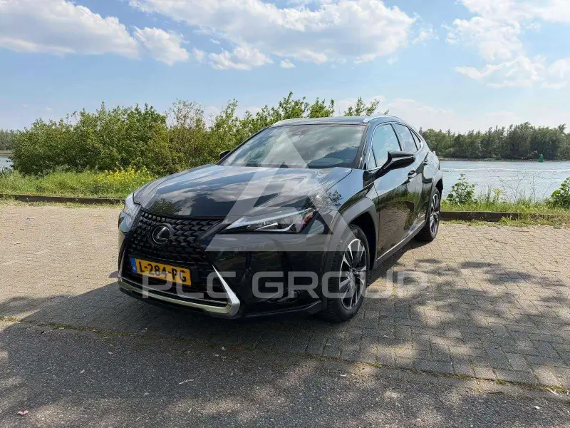 2021 Lexus UX250