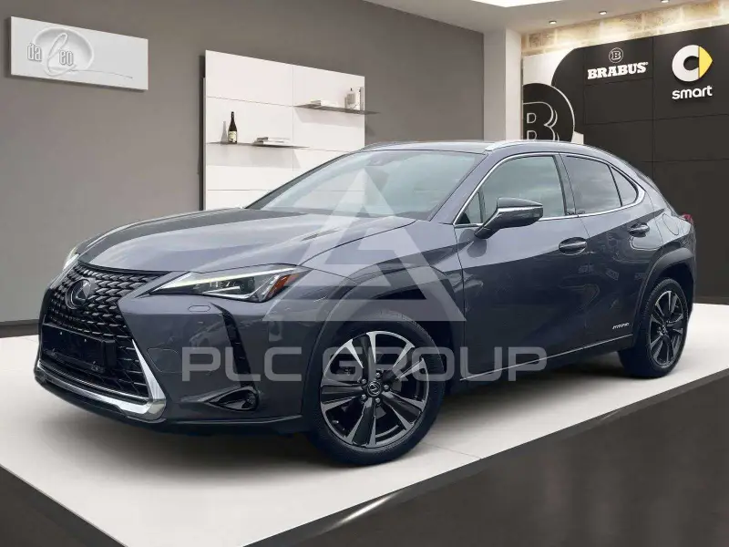 2021 Lexus UX250