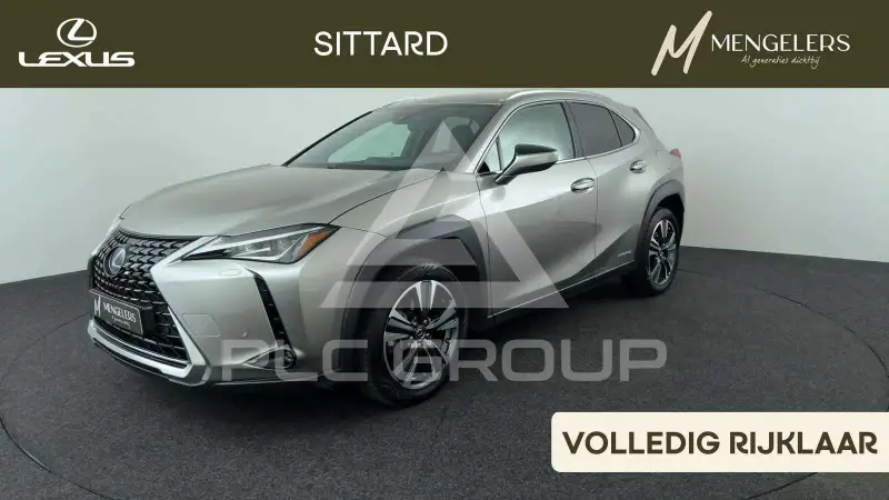 2021 Lexus UX250
