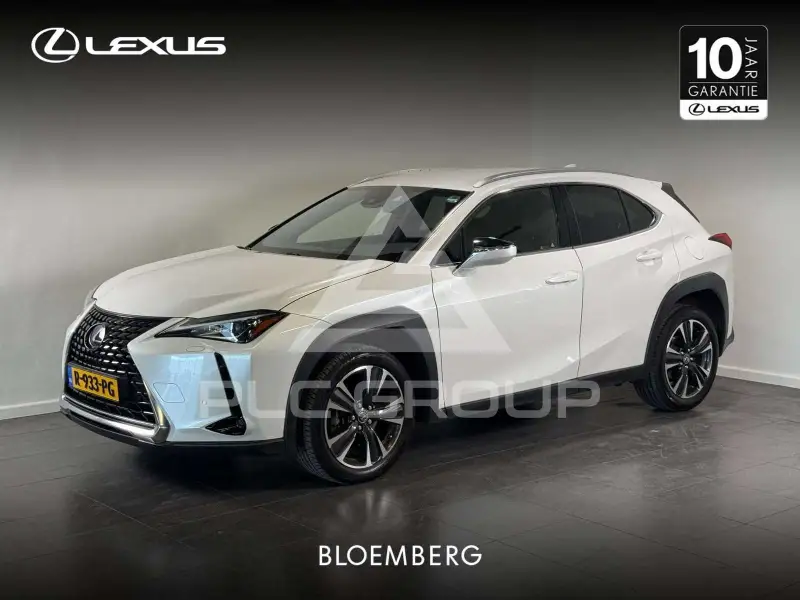 2021 Lexus UX250