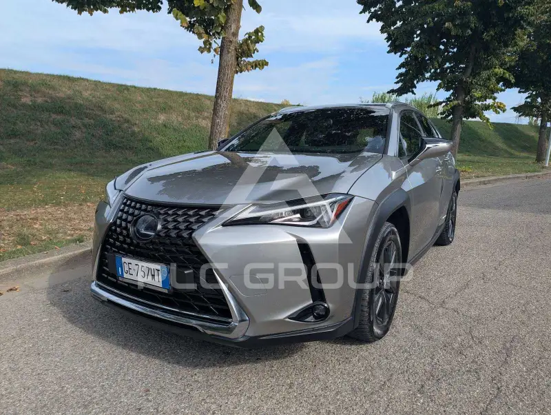 2021 Lexus UX250