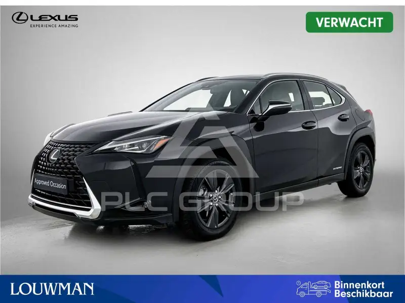 2021 Lexus UX250