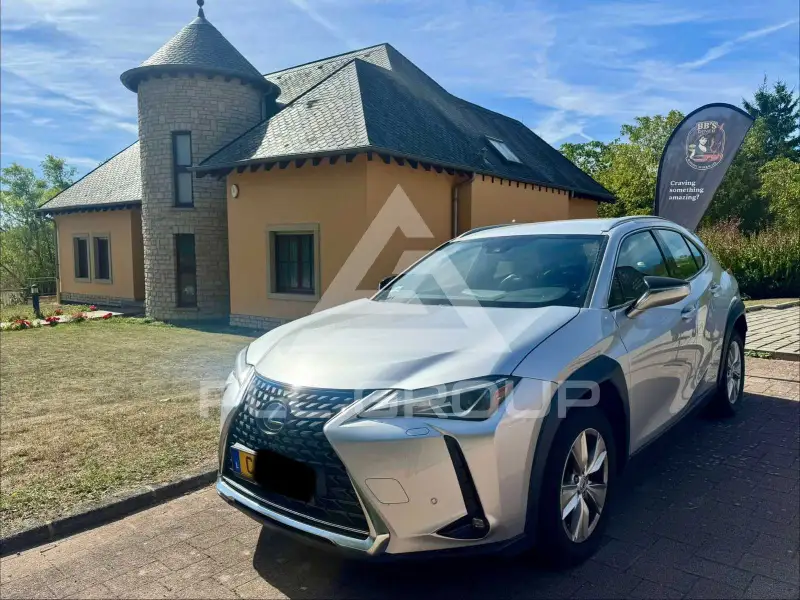 2021 Lexus UX250