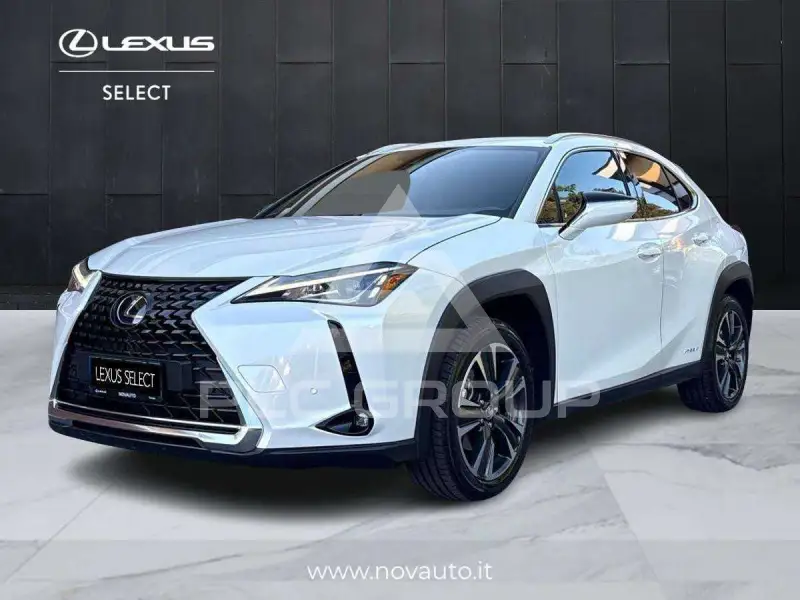 2021 Lexus UX250
