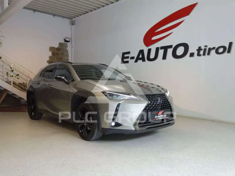 2021 Lexus UX250